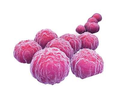 Lymphogranuloma venereum
